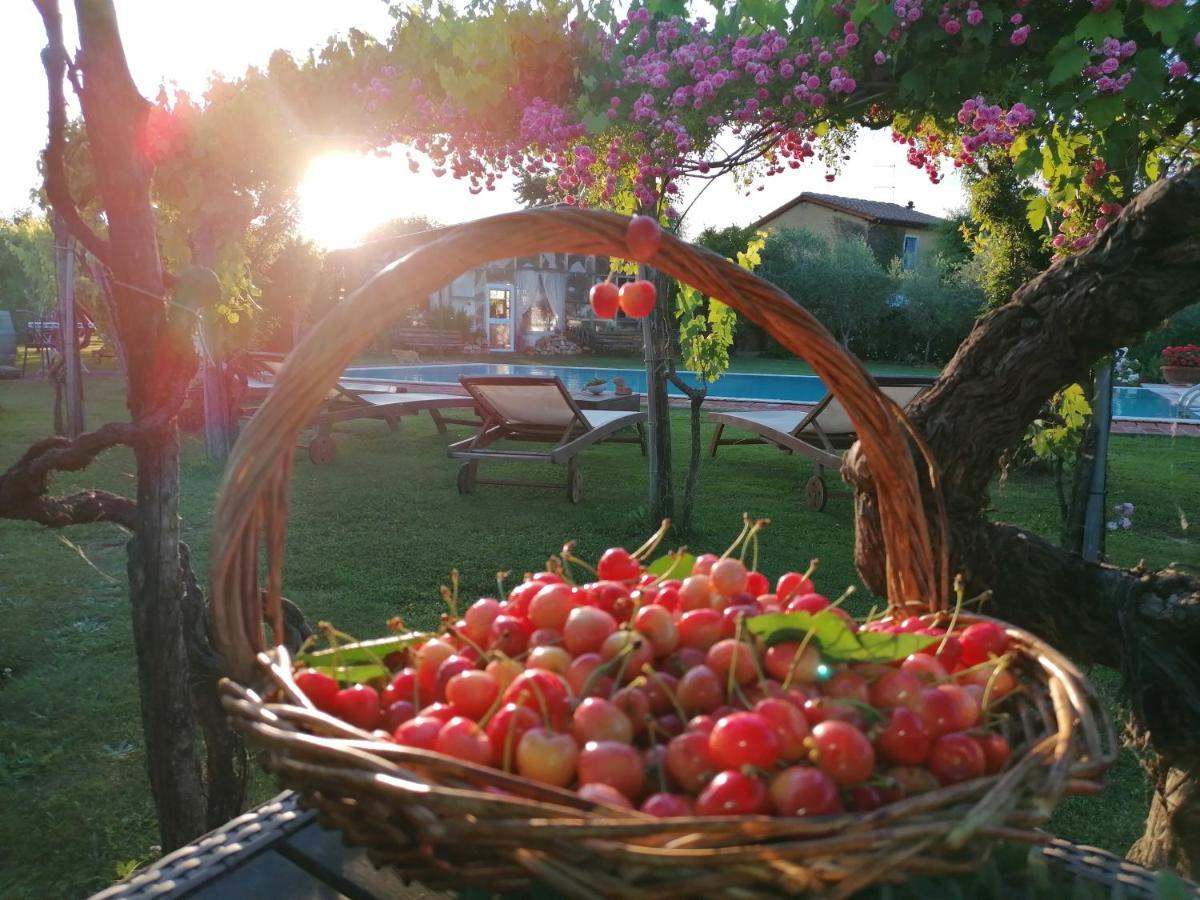 Podere Piandarca Terranuova Bracciolini Bagian luar foto