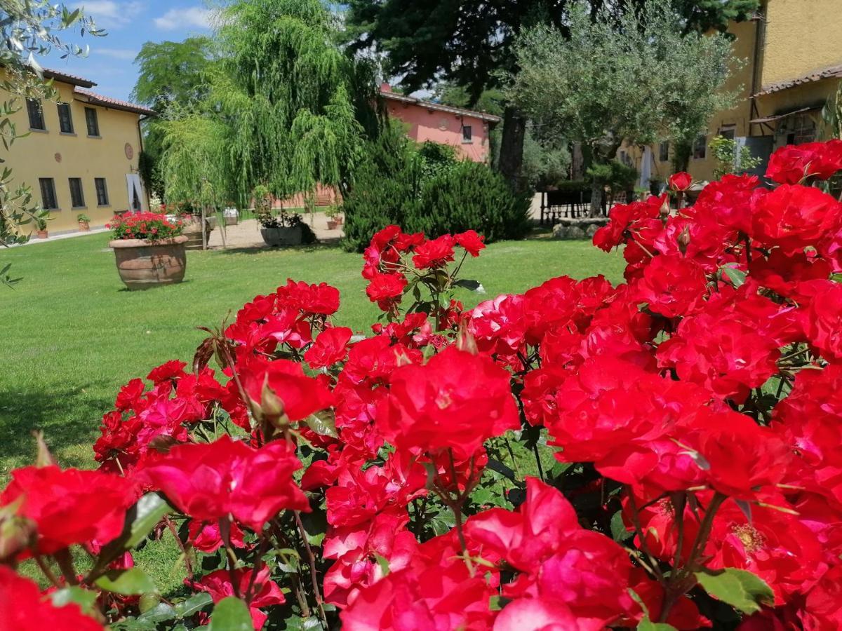 Podere Piandarca Terranuova Bracciolini Bagian luar foto