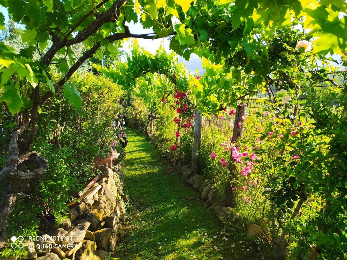 Podere Piandarca Terranuova Bracciolini Bagian luar foto