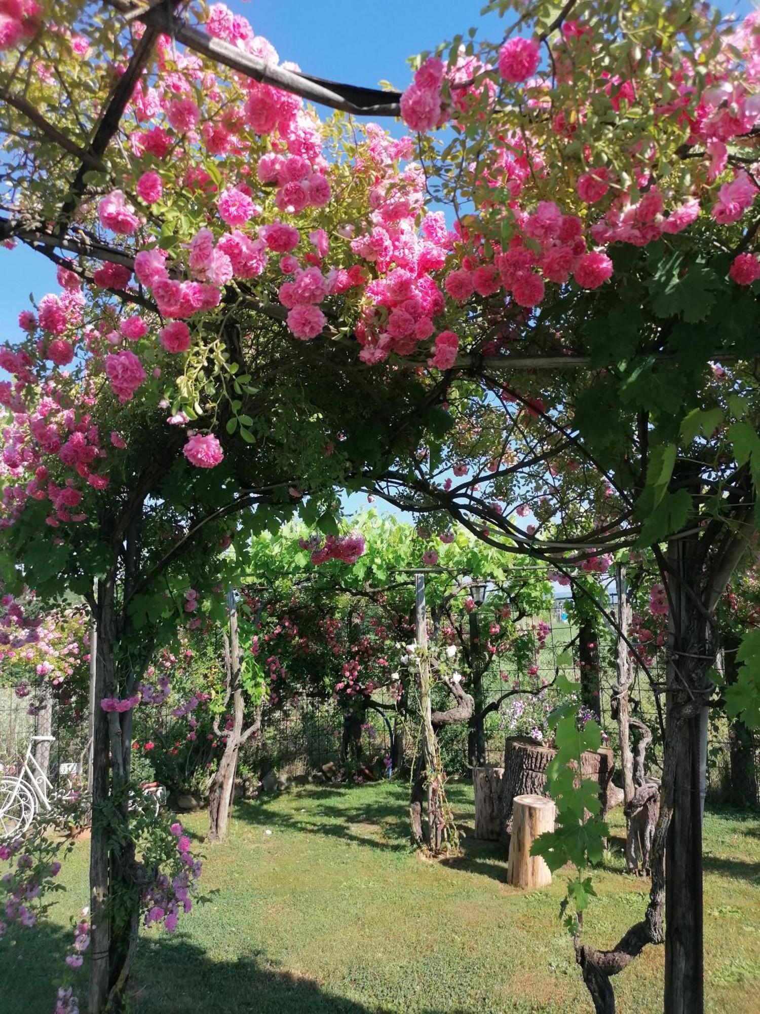 Podere Piandarca Terranuova Bracciolini Bagian luar foto