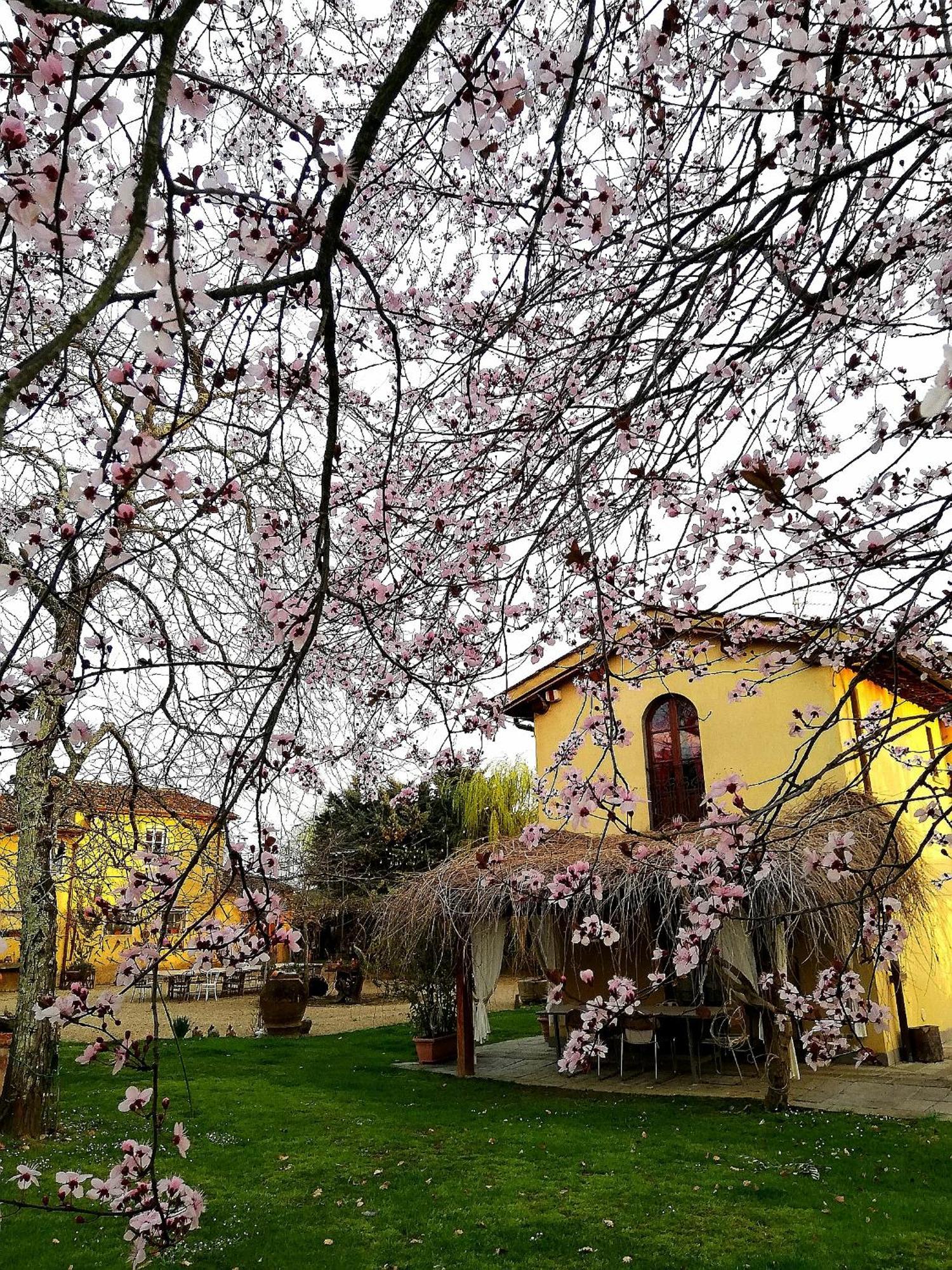 Podere Piandarca Terranuova Bracciolini Bagian luar foto