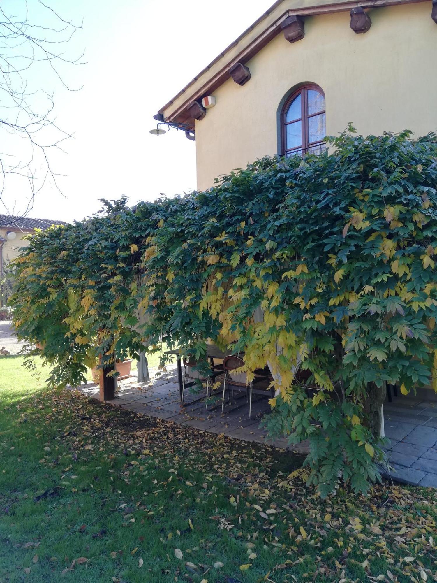 Podere Piandarca Terranuova Bracciolini Bagian luar foto